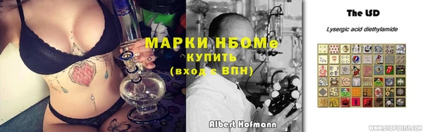 эйфоретик Алзамай