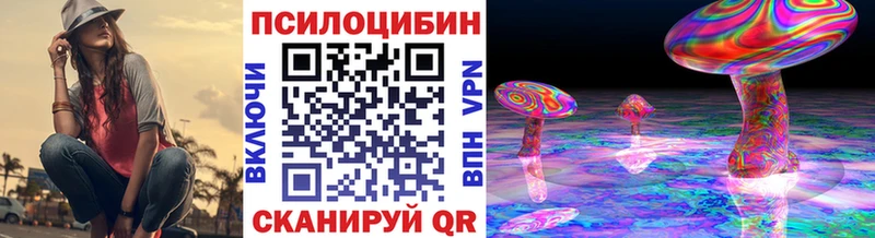 Псилоцибиновые грибы Psilocybe Осинники