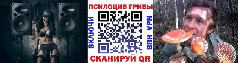 как найти   Осинники  Галлюциногенные грибы ЛСД 