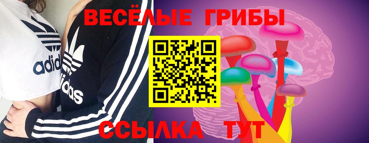 Осинники  Галлюциногенные грибы MAGIC MUSHROOMS  Псилоцибиновые грибы мицелий  хочу   Вход с VPN 